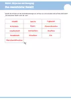 Vorschau - Arbeitsblätter - Das menschliche Skelett | Arbeitsblätter mit Lösungen und Präsentation für die Klassen 6, 7 und 8 - Seite 3