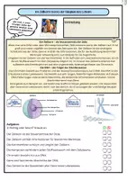 Vorschau - Arbeitsblätter - Zellkern und Chromosomen - Seite 1