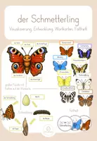 Vorschau - Poster - der Schmetterling - Materialpaket - Deckblatt