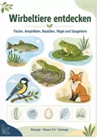 Vorschau - Arbeitsblätter - Wirbeltiere entdecken: Fische, Amphibien, Reptilien, Vögel und Säugetiere - Seite 1