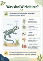 Vorschau - Arbeitsblätter - Wirbeltiere entdecken: Fische, Amphibien, Reptilien, Vögel und Säugetiere - Seite 2
