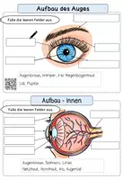 Vorschau - Arbeitsblätter - Die Sinne - AB zum Auge mit Video + Klassenarbeit zu Sinnen - Seite 1