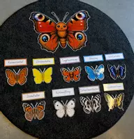 Vorschau - Poster - der Schmetterling - Materialpaket - Seite 2