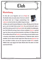 Vorschau - Unterrichtsreihen - Elch Lückentext mit Wortspeicher Hörverstehen und Suchsel - Seite 2