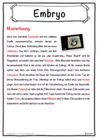 Vorschau - Unterrichtsreihen - Embryo Lückentext mit Wortspeicher Hörverstehen und Suchsel - Seite 2