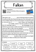 Vorschau - Unterrichtsreihen - Falken Lückentext mit Wortspeicher Hörverstehen und Suchsel - Seite 1