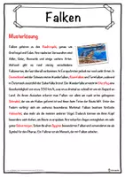 Vorschau - Unterrichtsreihen - Falken Lückentext mit Wortspeicher Hörverstehen und Suchsel - Seite 2