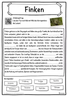 Vorschau - Unterrichtsreihen - Finken Lückentext mit Wortspeicher Hörverstehen und Suchsel - Seite 1