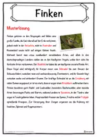 Vorschau - Unterrichtsreihen - Finken Lückentext mit Wortspeicher Hörverstehen und Suchsel - Seite 2