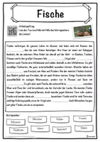 Vorschau - Unterrichtsreihen - Fische Lückentext mit Wortspeicher Hörverstehen und Suchsel - Seite 1