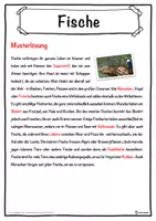 Vorschau - Unterrichtsreihen - Fische Lückentext mit Wortspeicher Hörverstehen und Suchsel - Seite 2