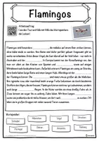 Vorschau - Unterrichtsreihen - Flamingos Lückentext mit Wortspeicher Hörverstehen und Suchsel - Seite 1