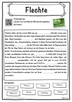 Vorschau - Unterrichtsreihen - Flechte Lückentext mit Wortspeicher Hörverstehen und Suchsel - Seite 1