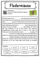 Vorschau - Unterrichtsreihen - Fledermäuse Lückentext mit Wortspeicher Hörverstehen und Suchsel - Seite 1