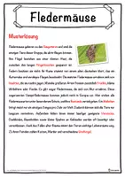Vorschau - Unterrichtsreihen - Fledermäuse Lückentext mit Wortspeicher Hörverstehen und Suchsel - Seite 2