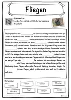 Vorschau - Unterrichtsreihen - Fliegen Lückentext mit Wortspeicher Hörverstehen und Suchsel - Seite 1