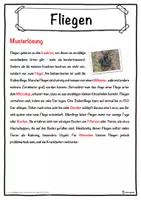 Vorschau - Unterrichtsreihen - Fliegen Lückentext mit Wortspeicher Hörverstehen und Suchsel - Seite 2