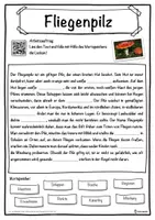 Vorschau - Unterrichtsreihen - Fliegenpilz Lückentext mit Wortspeicher Hörverstehen und Suchsel - Seite 1