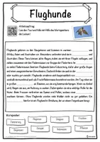 Vorschau - Unterrichtsreihen - Flughunde Lückentext mit Wortspeicher Hörverstehen und Suchsel - Seite 1