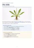 Vorschau - Stundenentwürfe - Biologie Klasse 7 Paket – 19 Materialien: Verdauung, Zellen & Ökosystem - Seite 1