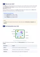 Vorschau - Stundenentwürfe - Biologie Klasse 7 Paket – 19 Materialien: Verdauung, Zellen & Ökosystem - Seite 2