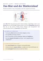 Vorschau - Arbeitsblätter - Blut und Blutkreislauf – Arbeitsheft Biologie 7 - Seite 1