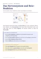 Vorschau - Arbeitsblätter - Biologie Klasse 8 Paket – 11 Materialien: Hormone, Sinne & Vererbung - Seite 1