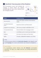 Vorschau - Arbeitsblätter - Biologie Klasse 8 Paket – 11 Materialien: Hormone, Sinne & Vererbung - Seite 2