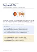 Vorschau - Arbeitsblätter - Auge und Ohr Sinnesorgane - Biologie Klasse 8 - Seite 1