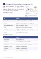 Vorschau - Arbeitsblätter - Auge und Ohr Sinnesorgane - Biologie Klasse 8 - Seite 3