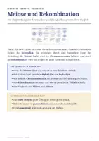 Vorschau - Arbeitsblätter - Meiose und Rekombination Biologie Klasse 10 - Seite 1