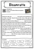Vorschau - Unterrichtsreihen - Bisamratte Lückentext mit Wortspeicher Hörverstehen und Suchsel - Seite 1