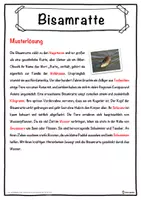 Vorschau - Unterrichtsreihen - Bisamratte Lückentext mit Wortspeicher Hörverstehen und Suchsel - Seite 2
