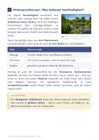 Vorschau - Arbeitsblätter - Nachhaltigkeit in der Sekundarstufe – Leben, Konsum, Reisen & Klimaschutz - Seite 3