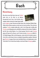 Vorschau - Unterrichtsreihen - Bach Lückentext mit Wortspeicher Hörverstehen und Suchsel - Seite 2