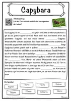 Vorschau - Unterrichtsreihen - Capybara Lückentext mit Wortspeicher Hörverstehen und Suchsel - Seite 1