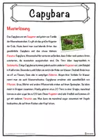 Vorschau - Unterrichtsreihen - Capybara Lückentext mit Wortspeicher Hörverstehen und Suchsel - Seite 2