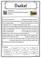 Vorschau - Unterrichtsreihen - Dackel Lückentext mit Wortspeicher Hörverstehen und Suchsel - Seite 1