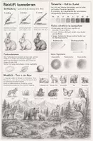 Vorschau - Arbeitsblätter - Schritt für Schritt zum Waldbild - Deckblatt