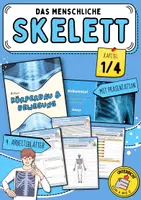 Vorschau - Arbeitsblätter - Das menschliche Skelett | Arbeitsblätter mit Lösungen und Präsentation für die Klassen 6, 7 und 8 - Deckblatt