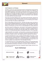 Vorschau - Arbeitsblätter - Naher Osten Konfliktherd unter der Lupe | Geschichte Politik Klasse 7-13 | Israel, Palästina, Islam, Golfkrieg, Suezkrise, Syrien, Iran, Arabischer Frühling, IS | Arbeitsblätter Kopiervorlagen Freiarbeit mit Lösungen - Seite 3