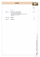 Vorschau - Arbeitsblätter - Naher Osten - Die islamisch-arabische Welt | Erdkunde Geschichte Sekundarstufe Klasse 7-10 | Türkei, politische Vielfalt | Arbeitsblätter, Kopiervorlagen, Freiarbeit mit Lösungen - Seite 2