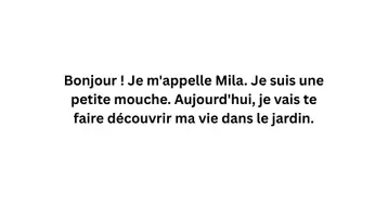 Aperçu - Préparation de séance / Séance complète - Kamishibaï – Les insectes d'été : La petite mouche - Page 2