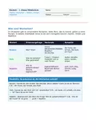 Vorschau - Arbeitsblätter - Wortarten üben Nomen, Verben & Adjektive – 1. Klasse MS - Seite 1