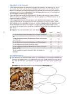 Vorschau - Arbeitsblätter - Von der Evolution des Menschen bis hin zur Steinzeit - Seite 2