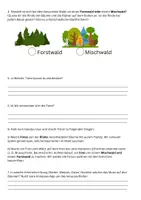 Vorschau - Arbeitsblätter - Forscherauftrag_Wald_Exkursion_Ökologie - Seite 2