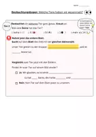 Vorschau - Arbeitsblätter - Beobachtungsbogen&Bestimmungsschlüssel von Bodentieren anhand der Beinzahl - Seite 2