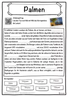 Vorschau - Unterrichtsreihen - Palmen Lückentext mit Wortspeicher Hörverstehen und Suchsel - Seite 1