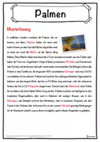 Vorschau - Unterrichtsreihen - Palmen Lückentext mit Wortspeicher Hörverstehen und Suchsel - Seite 2
