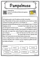 Vorschau - Unterrichtsreihen - Pampelmuse Lückentext mit Wortspeicher Hörverstehen und Suchsel - Seite 1